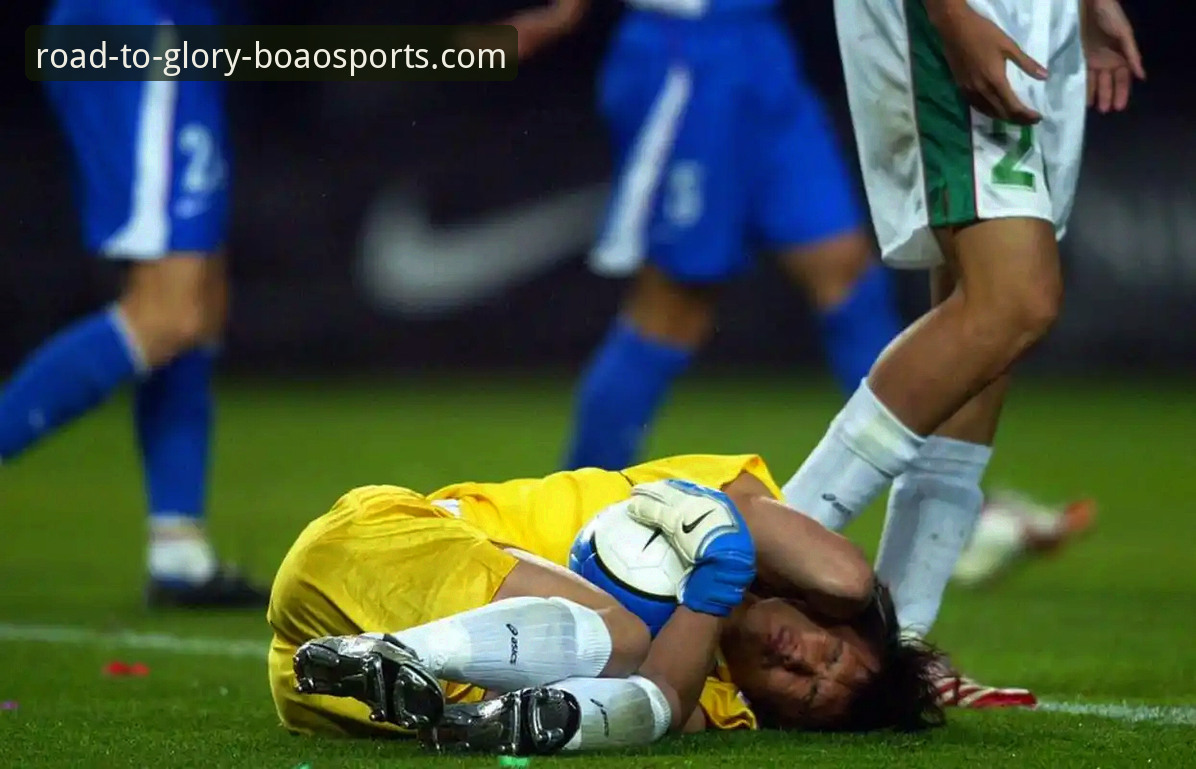 阿根廷锋线新星重伤最新动态，世界杯征程蒙上阴影